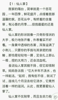 400个字符的蜡烛