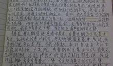 请为我点赞作文