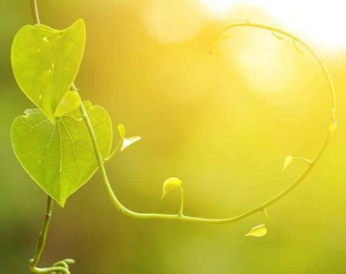 关于“勇于承担爱与责任”的思考