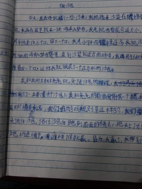 使沙袋组成350个单词