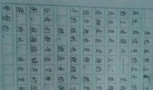 懂得道理的作文