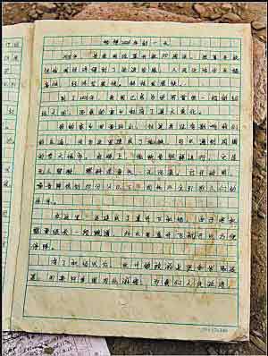 描述故乡的作品