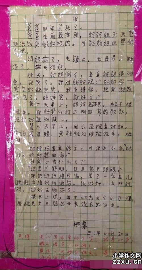 我了解强大的成分