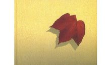 最后一片叶子读后感