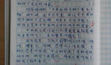 小学四年级乌塔读后感