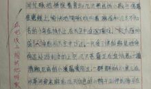 美丽的家乡作文