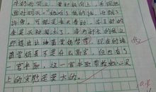 人与自然作文600字