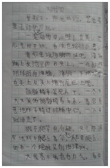 观察动物日记300字