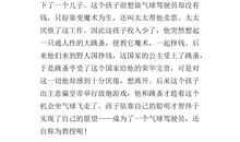 安徒生读后感600字