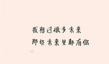 经典语句：你不是最好的，却是我最珍惜的
