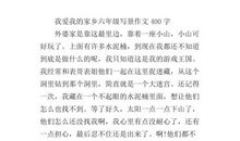 我爱家乡的作文