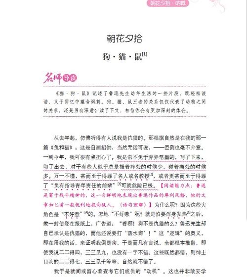 在朝化溪接送狗,猫和老鼠