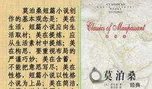 莫泊桑项链读后感