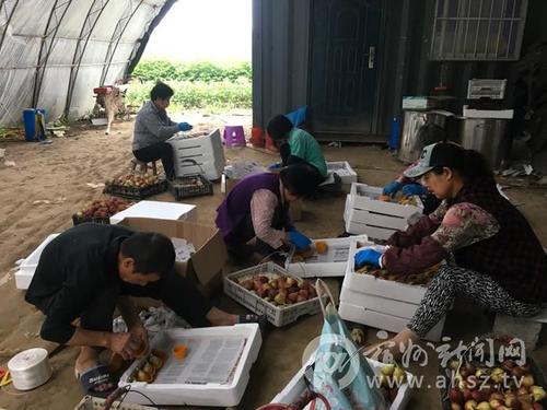 对大学生的励志：多彩的创业之路