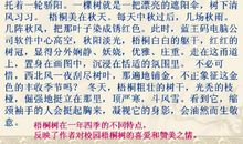 关于写自然景观的作文