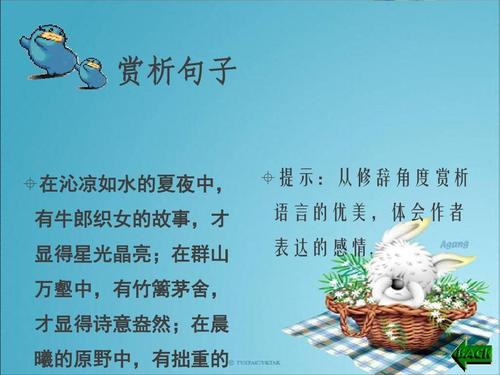 看完丢失的兰花