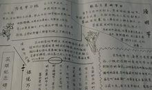 清明节拜山的作文