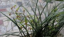 经典语句：何谓道，云在青天水在瓶