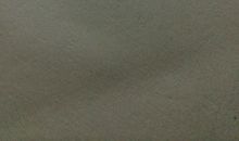 假如时光倒流小学生作文