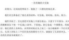有趣的小实验作文