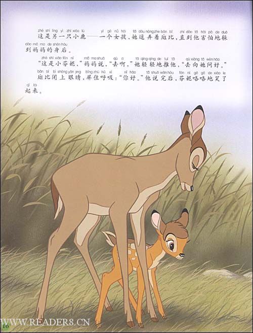 关于阅读《小鹿斑比》的思考