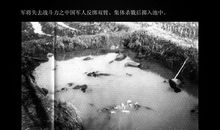 南京大屠杀观后感