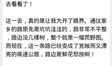 舌尖上的故乡作文