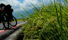 走在路上初中作文