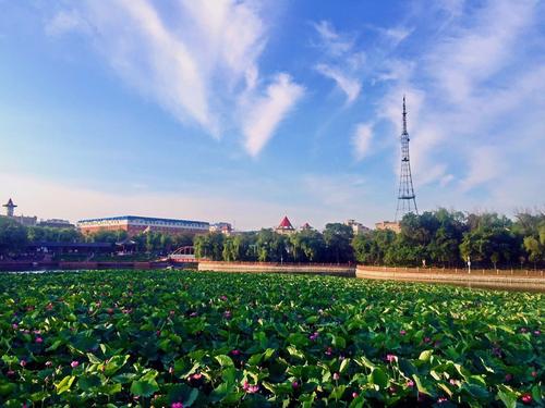 很高兴看到家乡的新变化