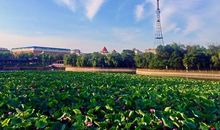 喜看家乡新变化