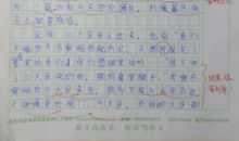 我的责任心作文