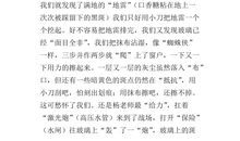 记一次大扫除作文