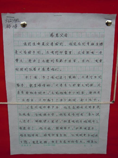 母亲的爱情作文600字