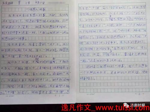 小学生作文感动