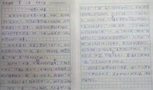 小学生作文感动