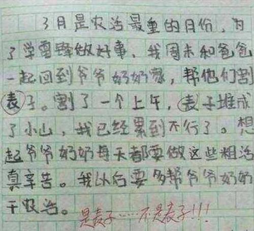我学会了绘画