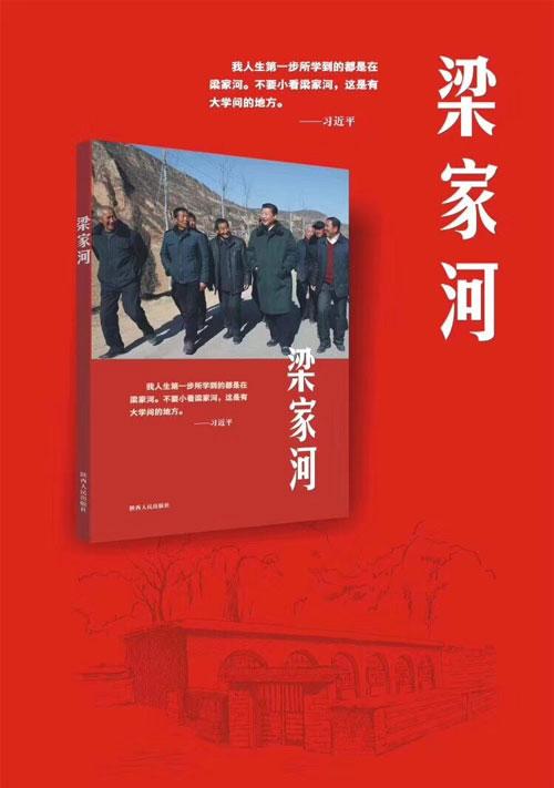 看完《杜威猫》后的感想