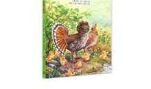 红脖子松鸡读后感