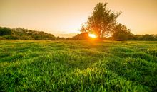 生活中的新发现