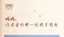 那一刻我读懂了友情