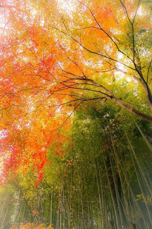 发现周围的美丽