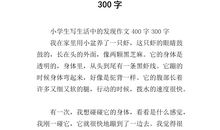 生活中的启示作文400字