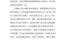 命若琴弦读后感