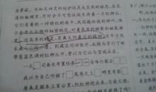 白杨课文读后感