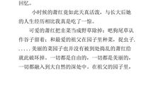 玩中的收获作文