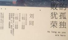 你的孤独虽败犹荣读后感1000字