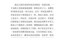 写家乡的作文300字