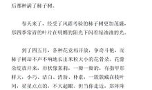 点亮心灵的灯作文800字