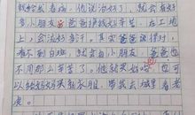 母爱500字作文
