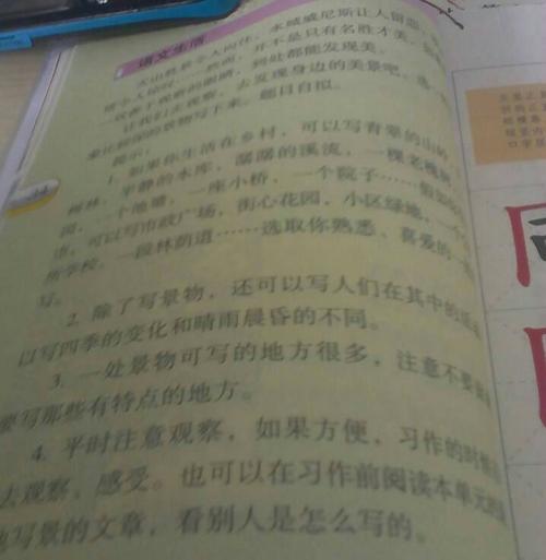 发现人生构图300字